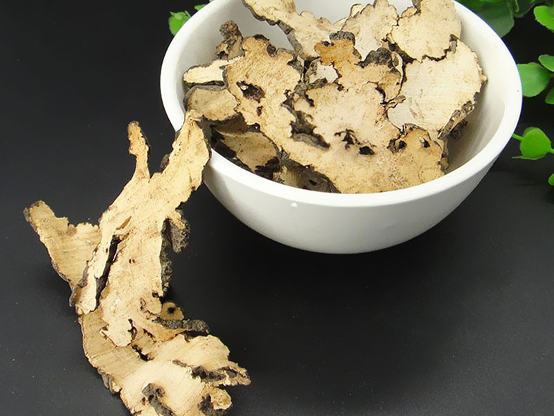 豬苓的形態(tài)特征
